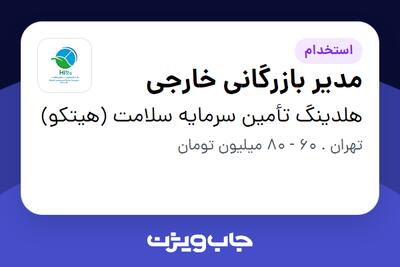 استخدام مدیر بازرگانی خارجی در هلدینگ تأمین سرمایه سلامت (هیتکو)