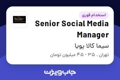استخدام Senior Social Media Manager در سیما کالا پویا