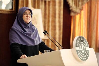 سخنگوی دولت: آب به آسیاب دشمن نریزیم/ دولت دنبال محدودسازی اینترنت نیست