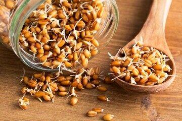 خوراکی که سبب افزایش طول عمر می‌شود