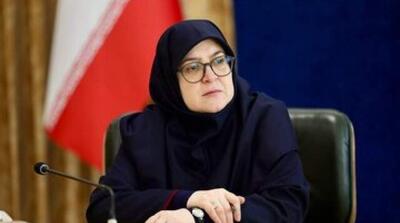 سخنگوی دولت: بودجه صنایع دفاعی در بودجه ۱۴۰۴ ارسال شده؛ اگر نیاز باشد از مسیر فرماندهی کل قوا پیگیری خواهد شد - مردم سالاری آنلاین