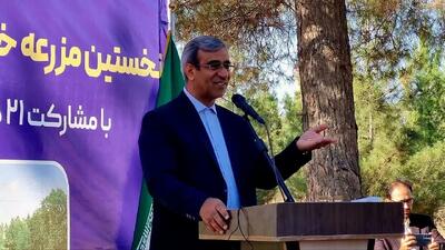 آغاز عملیات اجرایی نخستین مزرعه خورشیدی دولت در مشهد