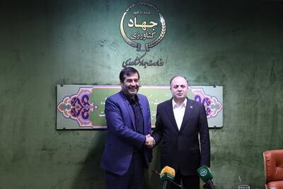احمد دنیامالی: باید پرورش اسب و شتر را به یک موضوع اقتصادی تبدیل کنیم - پارس فوتبال