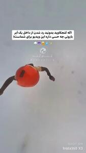 فیلم پرواز رویایی در دل ابر بارانی