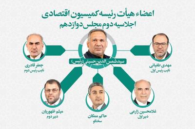 اعضای هیات رئیسه کمیسیون اقتصادی مجلس انتخاب شدند| «میثم ظهوریان» نماینده مردم مشهد دبیر کمیسیون شد