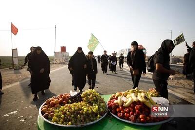ثبت نام راهپیمایی اربعین از جمعه ۲۷ تیرماه آغاز می شود + لینک ثبت نام