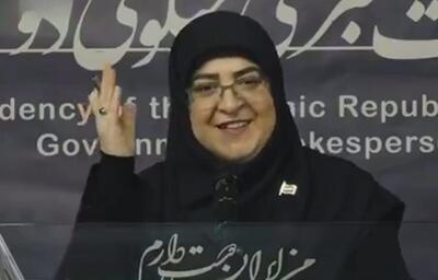شوخی سخنگوی دولت با خبرنگار SNNTV در نشست خبری