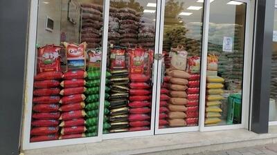 چرا قیمت‌ برنج افسار برید؟
