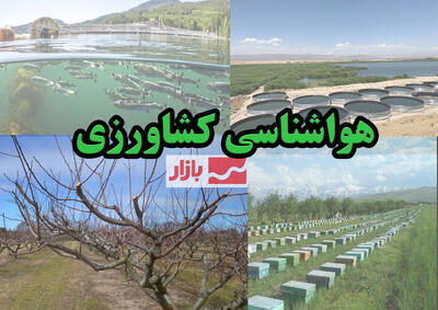 کشاورزان از آتش زدن کاه و کلش در مزارع اجتناب کنند