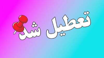 فوری/ تعطیلی سراسری این استان فردا چهارشنبه ۲۵ تیر اعلام شد