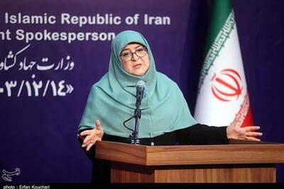 مهاجرانی: پرداخت کالابرگ به دهک‌های ۳ به بالا حتمی است
