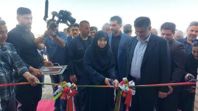 محیط‌زیست مخالف توسعه نیست؛ سلامت جامعه در گرو توسعه پایدار است