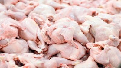 خرید حمایتی مرغ به ۳۰ هزارتن رسید