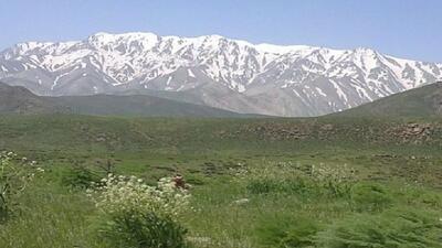 نمایی بسیار زیبا از قالی کوه الیگودرز + فیلم
