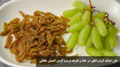 طرز خشک کردن انگور در خانه و طریقه درست کردن کشمش خانگی
