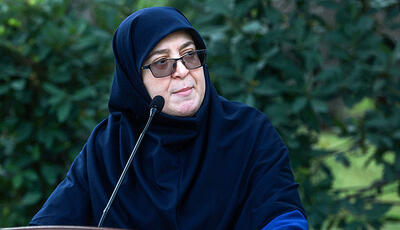 سخنگوی دولت: دولت به‌دنبال محدودسازی اینترنت نیست