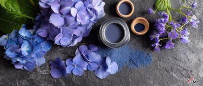 تأیید رسمی FDA برای رنگ خوراکی آبی طبیعی از میوه گاردنیا