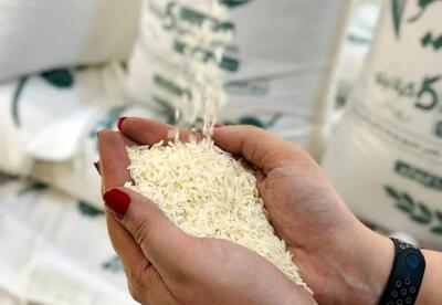 علت برنج ۳۰۰ هزار تومانی از زبان وزیر جهاد کشاورزی