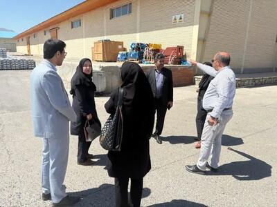 تأکید بر هوشمندسازی فرآیندهای لجستیکی در بازدید میدانی مشاورین مدیرعامل سازمان منطقه آزاد ماکو
