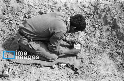 رزمندگان در جبهه کتاب می‌خواندند/ مشکلات ناشران سال‌ها قبل از جنگ ۱۲ روزه شروع شد
