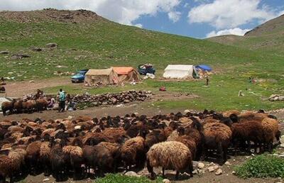 نماینده مجلس: تامین نهاده و ممیزی مراتع مطالبه عشایر گرمسار و آرادان است