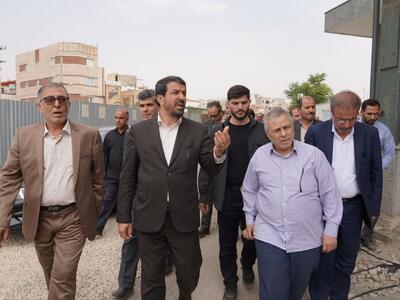 بازدید بازرس ویژه رییس جمهور از طرح‌های تحول‌آفرین همدان