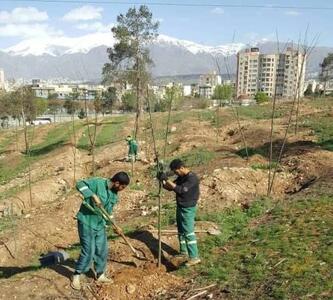 پایش آنلاین محیط زیستی در پارک سرخه حصار با ۴۴ دوربین نظارت محیط زیستی
