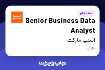 استخدام Senior Business Data Analyst در اسنپ مارکت