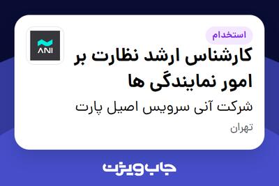استخدام کارشناس ارشد نظارت بر امور نمایندگی ها در شرکت آنی سرویس اصیل پارت