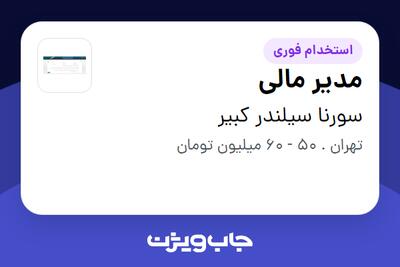 استخدام مدیر مالی در سورنا سیلندر کبیر