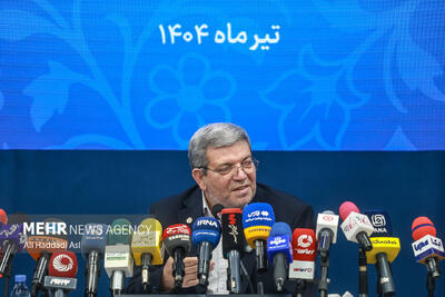 نشست خبری رئیس سازمان بهزیستی