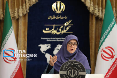 مهاجرانی: خروج اتباع غیرمجاز خواست مردم است