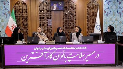 برنامه‌های ملی برای گسترش شبکه ارتباطی بانوان توانمند برگزار می‌شود