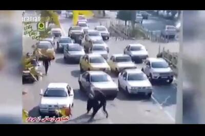 فیلم ماندگار اززندان قزل‌حصار در لحظه اعدام / خودتان ببینید و برداشت آزاد کنید !