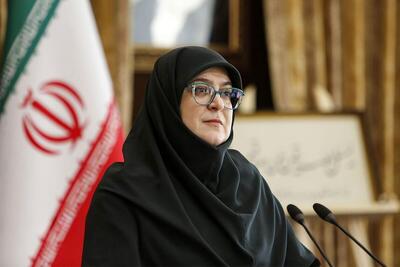 مهاجرانی در حاشیه جلسه هیئت دولت: خواسته مردم، خروج اتباع غیرمجاز از ایران است