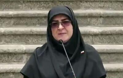 گزارش مهاجرانی از جلسه صبح امروز هیئت دولت / خروج اتباع غیر مجاز خواست مردم و از موارد بسیار مهم کشور است
