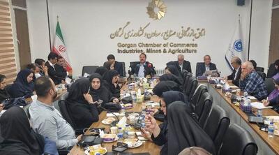 قطع برق واحدهای تولیدی گلستان باید چاره اندیشی شود