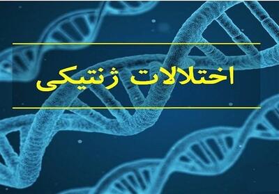 اختلالات ژنتیکی، عامل 50 درصد معلولیت‌ها در خراسان جنوبی - تسنیم