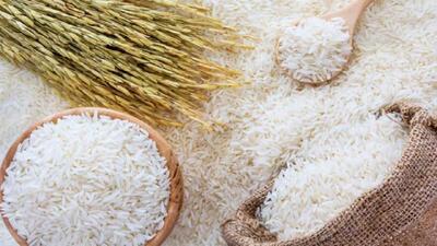 بازار برنج طی ۲ هفته آینده متعادل می شود/ احتکار برنج کذب است