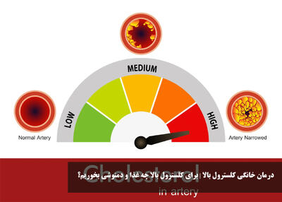 درمان خانگی کلسترول بالا | برای کلسترول بالا چه غذا و دمنوشی بخوریم؟