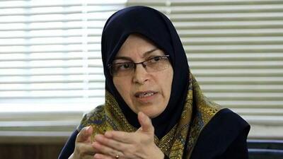انتقاد شدید رئیس جبهه اصلاحات از سخنگوی دولت و عارف، درباره اینترنت طبقاتی