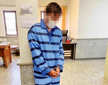 کلاهبردار میلیاردی همسر باردارش را روانه زندان کرد