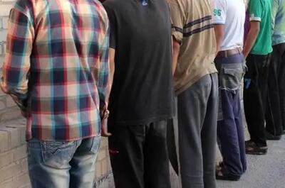 دستگیری باند سارقان احشام در شادگان