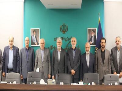 توانایی‌های رحمتی در حوزه ابن‌سیناشناسی نقطه عطفی برای بنیاد است