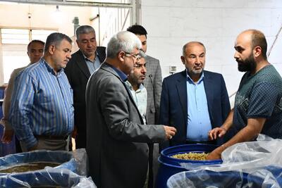 ظرفیت‌های اقتصادی و گردشگری گلستان و حمایت دولت از توسعه پایدار