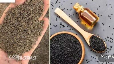 افزایش بهره‌وری و صادرات گیاهان دارویی با اصلاح ارقام زیره و سیاه‌دانه در گلستان