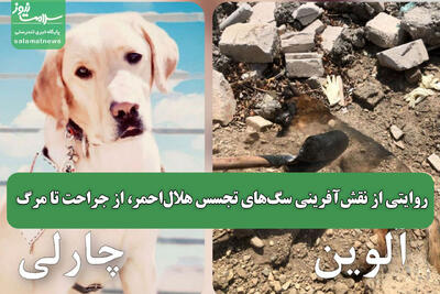 روایتی از نقش‌آفرینی سگ‌های تجسس هلال‌احمر، از جراحت تا مرگ