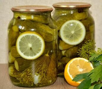 طرز تهیه خیار شور ترکی با خردل و لیمو