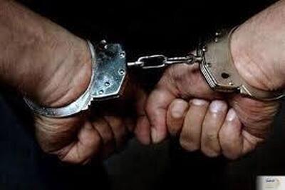 ۲ شرور به اتهام درگیری دسته‌جمعی در تهران دستگیر شدند (۲۶ تیر ۱۴۰۴)