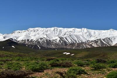 ویدئو| نمایی زیبا از قالی‌کوه لرستان